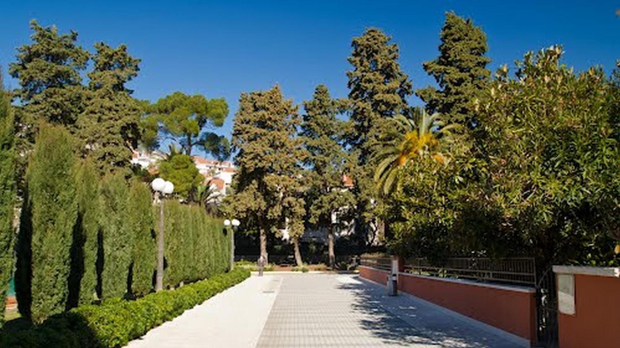 Dalmatino